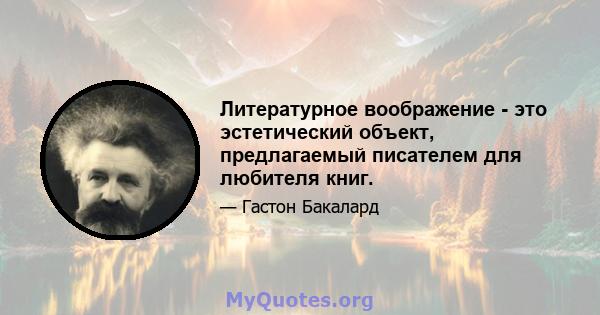 Литературное воображение - это эстетический объект, предлагаемый писателем для любителя книг.