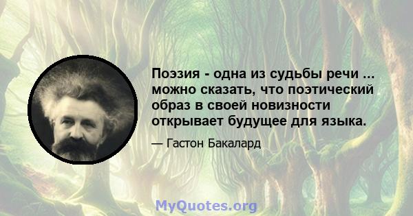 Поэзия - одна из судьбы речи ... можно сказать, что поэтический образ в своей новизности открывает будущее для языка.