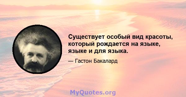 Существует особый вид красоты, который рождается на языке, языке и для языка.