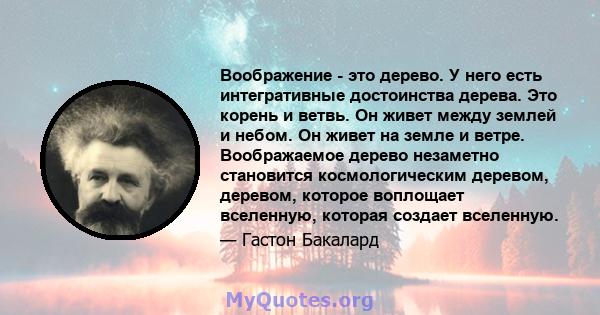 Воображение - это дерево. У него есть интегративные достоинства дерева. Это корень и ветвь. Он живет между землей и небом. Он живет на земле и ветре. Воображаемое дерево незаметно становится космологическим деревом,