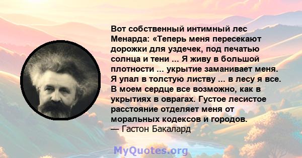 Вот собственный интимный лес Менарда: «Теперь меня пересекают дорожки для уздечек, под печатью солнца и тени ... Я живу в большой плотности ... укрытие заманивает меня. Я упал в толстую листву ... в лесу я все. В моем