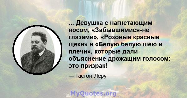 ... Девушка с нагнетающим носом, «Забывшимися-не глазами», «Розовые красные щеки» и «Белую белую шею и плечи», которые дали объяснение дрожащим голосом: это призрак!