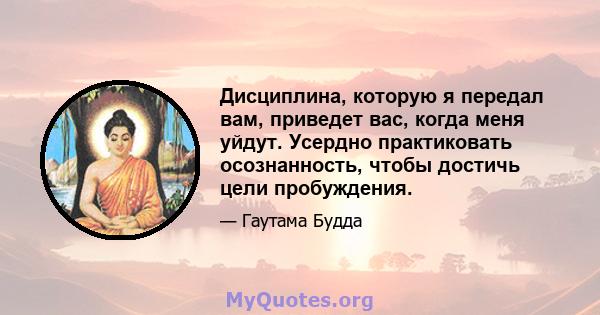 Дисциплина, которую я передал вам, приведет вас, когда меня уйдут. Усердно практиковать осознанность, чтобы достичь цели пробуждения.