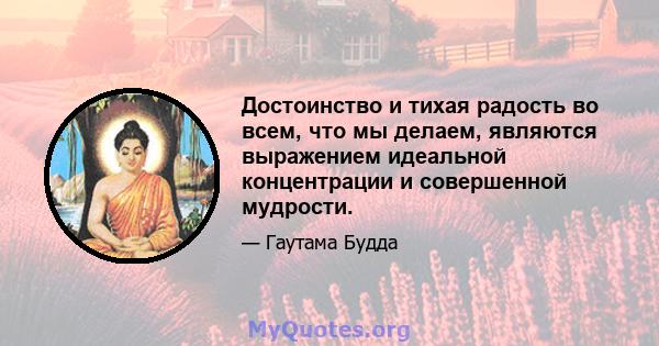 Достоинство и тихая радость во всем, что мы делаем, являются выражением идеальной концентрации и совершенной мудрости.