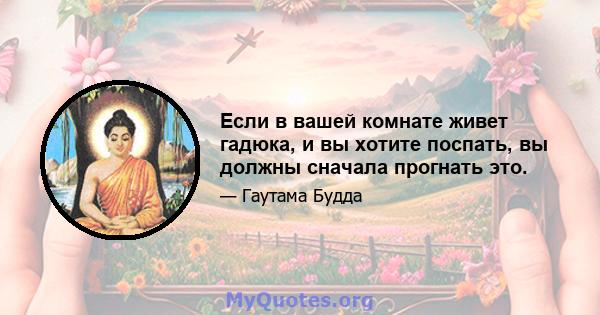 Если в вашей комнате живет гадюка, и вы хотите поспать, вы должны сначала прогнать это.