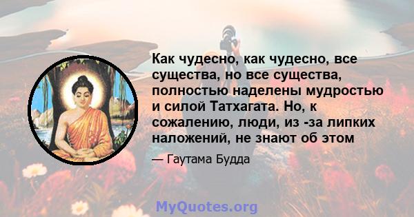 Как чудесно, как чудесно, все существа, но все существа, полностью наделены мудростью и силой Татхагата. Но, к сожалению, люди, из -за липких наложений, не знают об этом