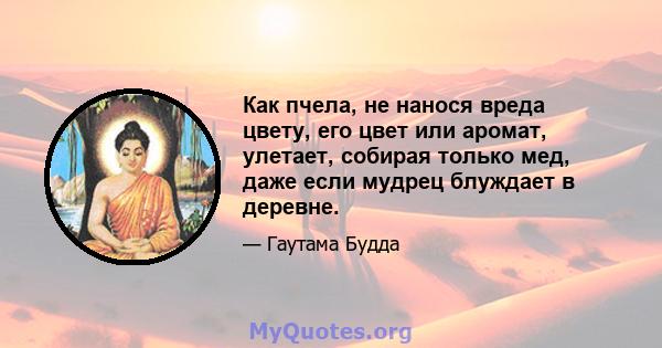 Как пчела, не нанося вреда цвету, его цвет или аромат, улетает, собирая только мед, даже если мудрец блуждает в деревне.