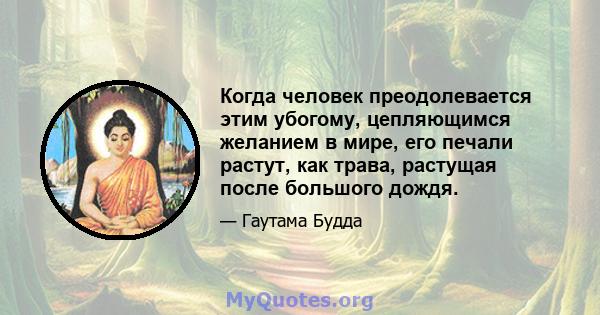 Когда человек преодолевается этим убогому, цепляющимся желанием в мире, его печали растут, как трава, растущая после большого дождя.