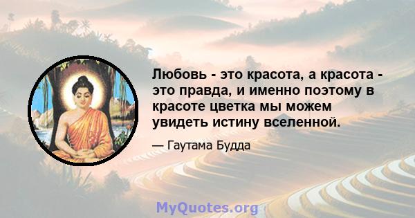 Любовь - это красота, а красота - это правда, и именно поэтому в красоте цветка мы можем увидеть истину вселенной.