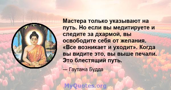 Мастера только указывают на путь. Но если вы медитируете и следите за дхармой, вы освободите себя от желания. «Все возникает и уходит». Когда вы видите это, вы выше печали. Это блестящий путь.