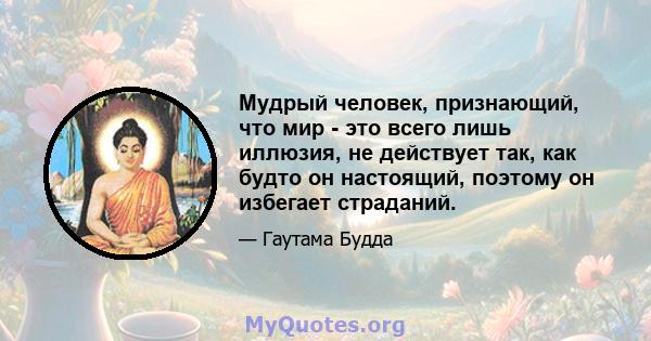 Мудрый человек, признающий, что мир - это всего лишь иллюзия, не действует так, как будто он настоящий, поэтому он избегает страданий.