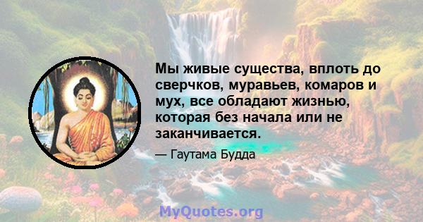 Мы живые существа, вплоть до сверчков, муравьев, комаров и мух, все обладают жизнью, которая без начала или не заканчивается.