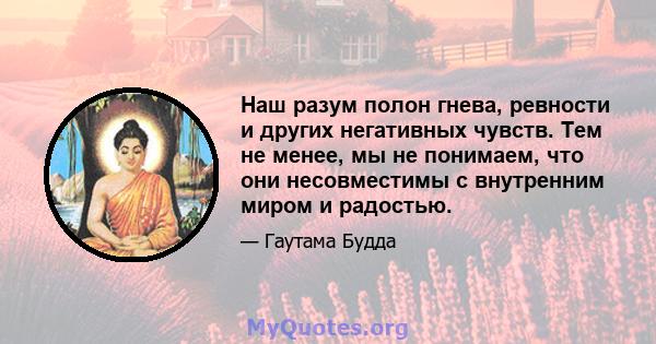 Наш разум полон гнева, ревности и других негативных чувств. Тем не менее, мы не понимаем, что они несовместимы с внутренним миром и радостью.