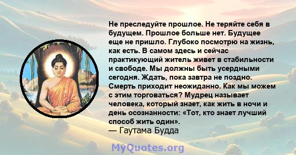 Не преследуйте прошлое. Не теряйте себя в будущем. Прошлое больше нет. Будущее еще не пришло. Глубоко посмотрю на жизнь, как есть. В самом здесь и сейчас практикующий житель живет в стабильности и свободе. Мы должны