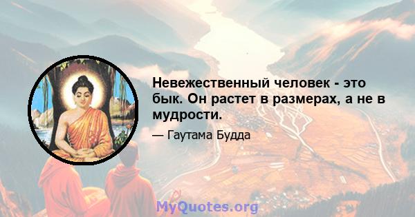 Невежественный человек - это бык. Он растет в размерах, а не в мудрости.