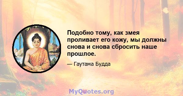 Подобно тому, как змея проливает его кожу, мы должны снова и снова сбросить наше прошлое.