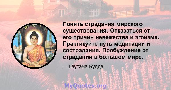 Понять страдания мирского существования. Отказаться от его причин невежества и эгоизма. Практикуйте путь медитации и сострадания. Пробуждение от страданий в большом мире.