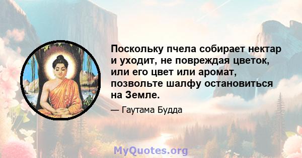 Поскольку пчела собирает нектар и уходит, не повреждая цветок, или его цвет или аромат, позвольте шалфу остановиться на Земле.