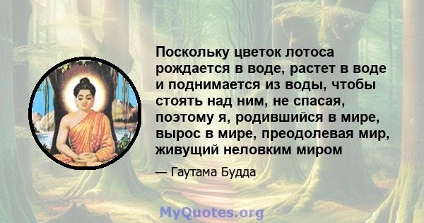 Поскольку цветок лотоса рождается в воде, растет в воде и поднимается из воды, чтобы стоять над ним, не спасая, поэтому я, родившийся в мире, вырос в мире, преодолевая мир, живущий неловким миром