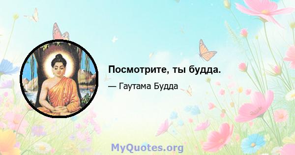 Посмотрите, ты будда.