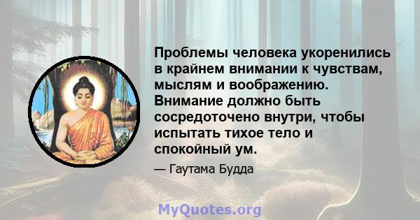 Проблемы человека укоренились в крайнем внимании к чувствам, мыслям и воображению. Внимание должно быть сосредоточено внутри, чтобы испытать тихое тело и спокойный ум.