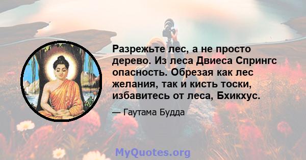 Разрежьте лес, а не просто дерево. Из леса Двиеса Спрингс опасность. Обрезая как лес желания, так и кисть тоски, избавитесь от леса, Бхикхус.