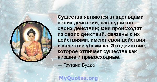 Существа являются владельцами своих действий, наследников своих действий; Они происходят из своих действий, связаны с их действиями, имеют свои действия в качестве убежища. Это действие, которое отличает существа как