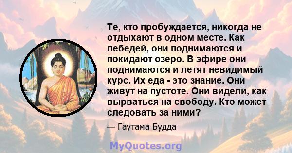 Те, кто пробуждается, никогда не отдыхают в одном месте. Как лебедей, они поднимаются и покидают озеро. В эфире они поднимаются и летят невидимый курс. Их еда - это знание. Они живут на пустоте. Они видели, как