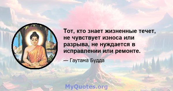 Тот, кто знает жизненные течет, не чувствует износа или разрыва, не нуждается в исправлении или ремонте.