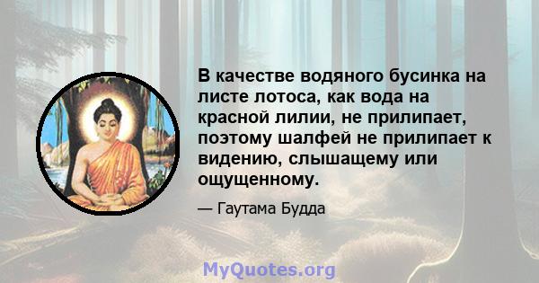 В качестве водяного бусинка на листе лотоса, как вода на красной лилии, не прилипает, поэтому шалфей не прилипает к видению, слышащему или ощущенному.