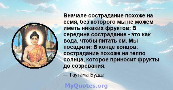 Вначале сострадание похоже на семя, без которого мы не можем иметь никаких фруктов; В середине сострадание - это как вода, чтобы питать см. Мы посадили; В конце концов, сострадание похоже на тепло солнца, которое