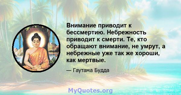 Внимание приводит к бессмертию. Небрежность приводит к смерти. Те, кто обращают внимание, не умрут, а небрежные уже так же хороши, как мертвые.