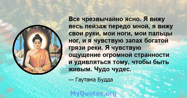 Все чрезвычайно ясно. Я вижу весь пейзаж передо мной, я вижу свои руки, мои ноги, мои пальцы ног, и я чувствую запах богатой грязи реки. Я чувствую ощущение огромной странности и удивляться тому, чтобы быть живым. Чудо