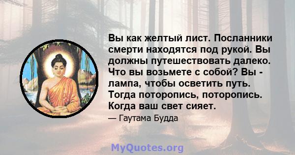 Вы как желтый лист. Посланники смерти находятся под рукой. Вы должны путешествовать далеко. Что вы возьмете с собой? Вы - лампа, чтобы осветить путь. Тогда поторопись, поторопись. Когда ваш свет сияет.