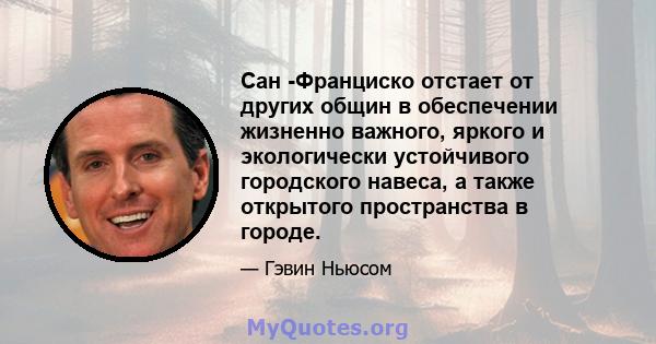 Сан -Франциско отстает от других общин в обеспечении жизненно важного, яркого и экологически устойчивого городского навеса, а также открытого пространства в городе.