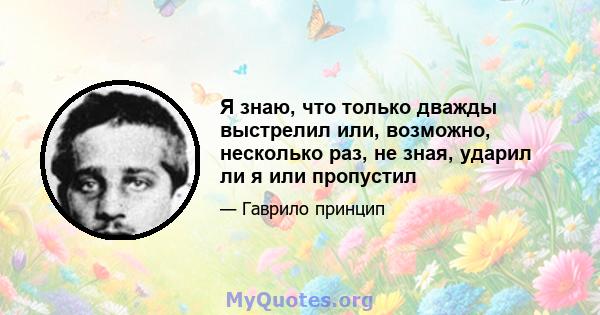 Я знаю, что только дважды выстрелил или, возможно, несколько раз, не зная, ударил ли я или пропустил