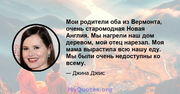 Мои родители оба из Вермонта, очень старомодная Новая Англия. Мы нагрели наш дом деревом, мой отец нарезал. Моя мама вырастила всю нашу еду. Мы были очень недоступны ко всему.