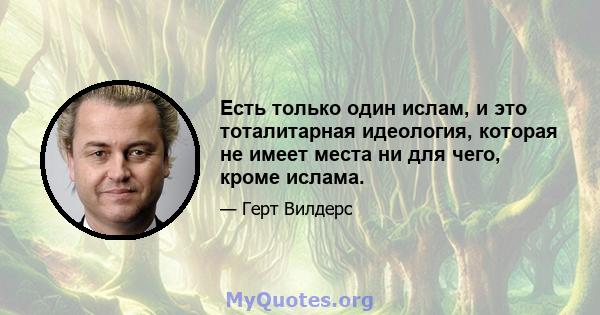 Есть только один ислам, и это тоталитарная идеология, которая не имеет места ни для чего, кроме ислама.