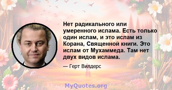 Нет радикального или умеренного ислама. Есть только один ислам, и это ислам из Корана, Священной книги. Это ислам от Мухаммеда. Там нет двух видов ислама.