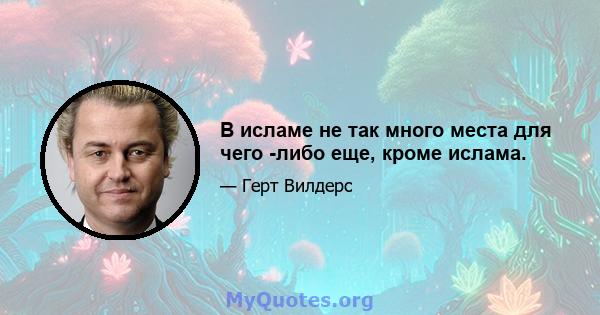 В исламе не так много места для чего -либо еще, кроме ислама.