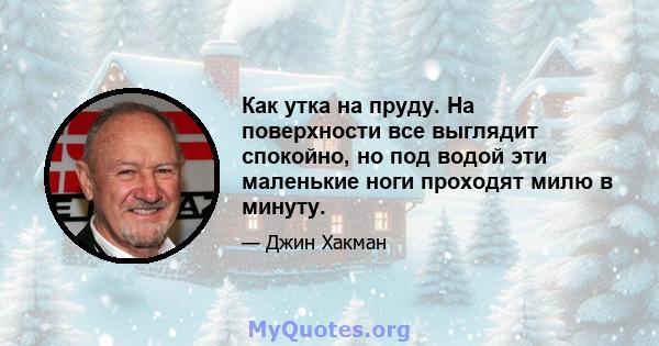 Как утка на пруду. На поверхности все выглядит спокойно, но под водой эти маленькие ноги проходят милю в минуту.