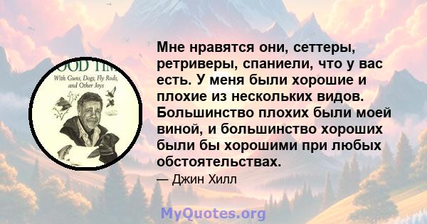 Мне нравятся они, сеттеры, ретриверы, спаниели, что у вас есть. У меня были хорошие и плохие из нескольких видов. Большинство плохих были моей виной, и большинство хороших были бы хорошими при любых обстоятельствах.