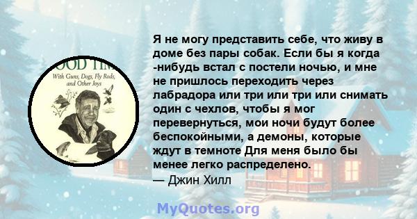 Я не могу представить себе, что живу в доме без пары собак. Если бы я когда -нибудь встал с постели ночью, и мне не пришлось переходить через лабрадора или три или три или снимать один с чехлов, чтобы я мог