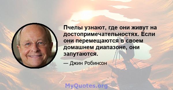 Пчелы узнают, где они живут на достопримечательностях. Если они перемещаются в своем домашнем диапазоне, они запутаются.