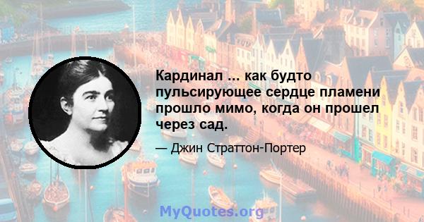 Кардинал ... как будто пульсирующее сердце пламени прошло мимо, когда он прошел через сад.