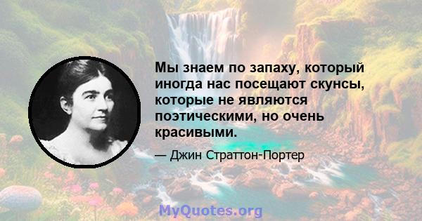 Мы знаем по запаху, который иногда нас посещают скунсы, которые не являются поэтическими, но очень красивыми.