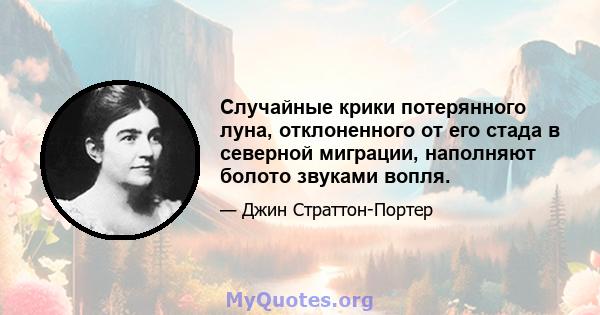 Случайные крики потерянного луна, отклоненного от его стада в северной миграции, наполняют болото звуками вопля.