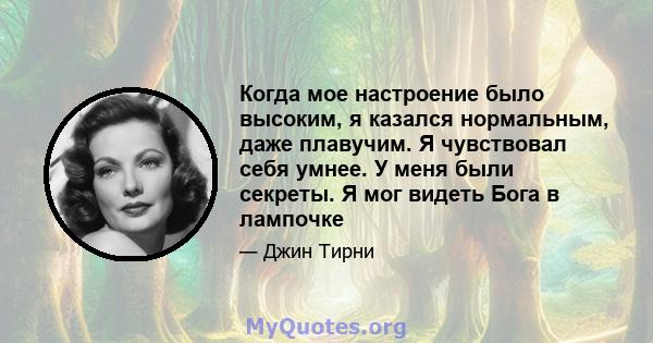 Когда мое настроение было высоким, я казался нормальным, даже плавучим. Я чувствовал себя умнее. У меня были секреты. Я мог видеть Бога в лампочке