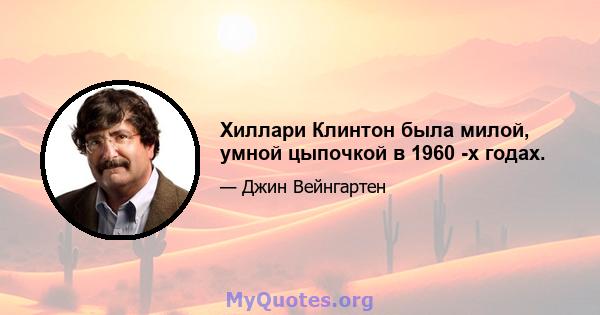 Хиллари Клинтон была милой, умной цыпочкой в ​​1960 -х годах.