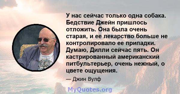 У нас сейчас только одна собака. Бедствие Джейн пришлось отложить. Она была очень старая, и ее лекарство больше не контролировало ее припадки. Думаю, Дилли сейчас пять. Он кастрированный американский питбультерьер,